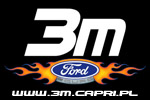 3M 3M